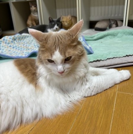 thumbnail_IMG_5319 (1)