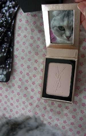 「猫だらけ」