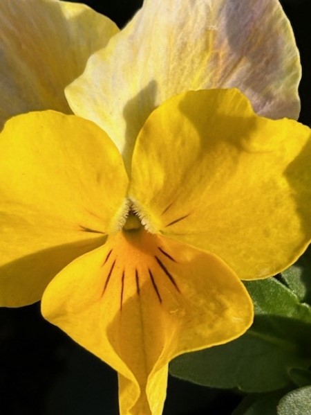 thumbnail_IMG_7894 (1)