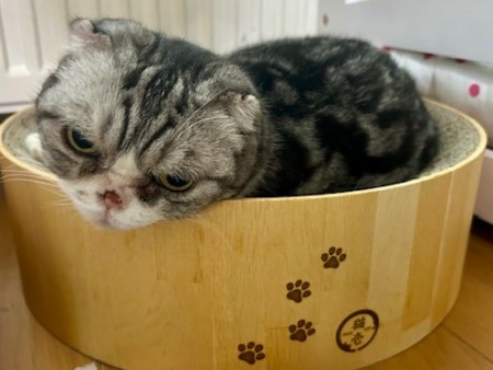 thumbnail_IMG_3459 (1)