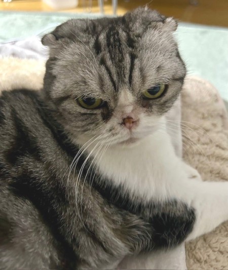 b7bfae46-75d2-4e33-b657-899292e654d8