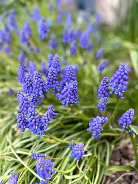 thumbnail_IMG_0202