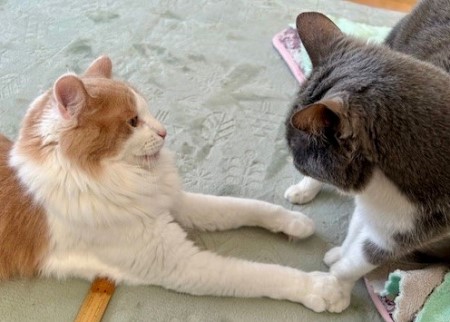 thumbnail_IMG_5212 (2)