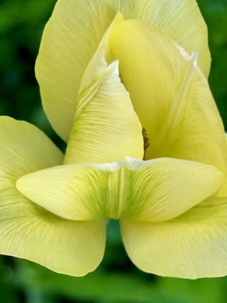 thumbnail_IMG_6133 (1)