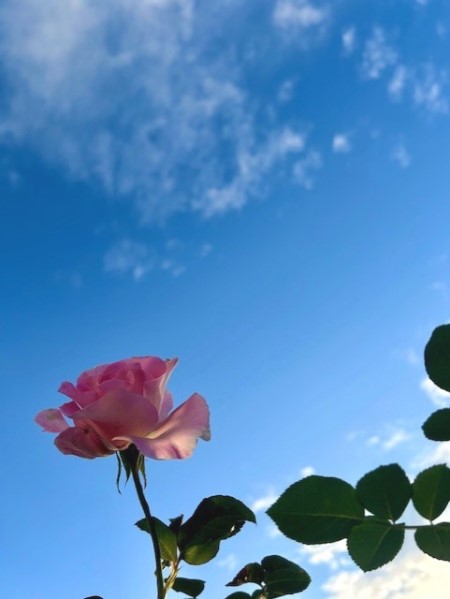 thumbnail_IMG_2635 (1)