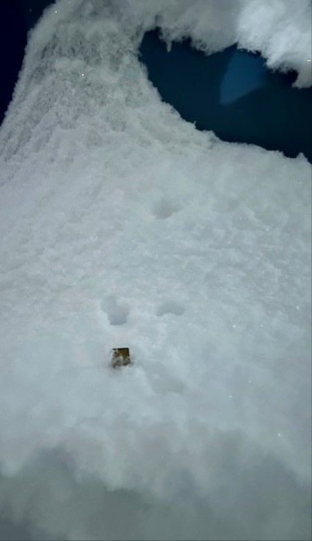 3b119746-db25-40dc-ba6f-3dbe098c1d0a