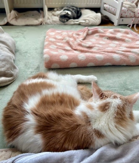 8bc96b60-29bd-4610-b285-2d52caaad118