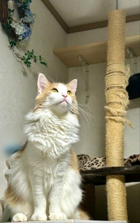 thumbnail_IMG_7766