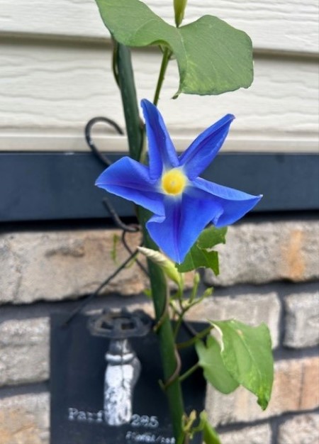 thumbnail_IMG_3813 (1)