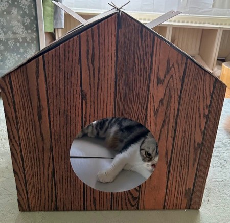 thumbnail_IMG_8377 (3)