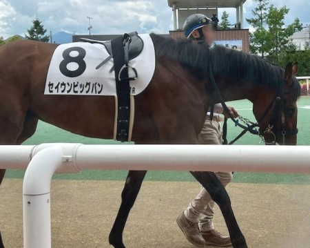 thumbnail_IMG_1581 (1)