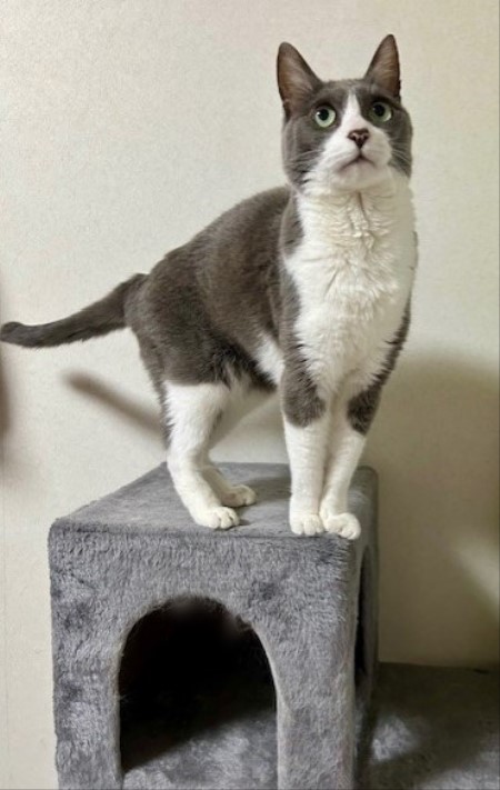 thumbnail_IMG_5790 (1)