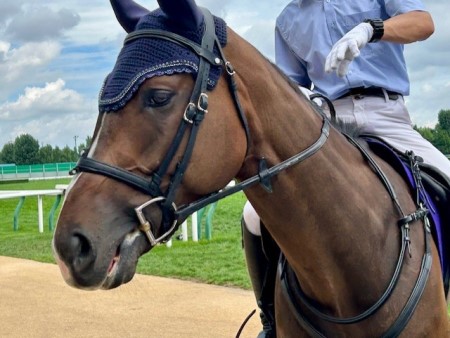 thumbnail_IMG_1515 (1)