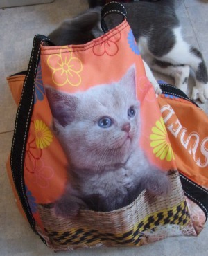 「猫だらけ」