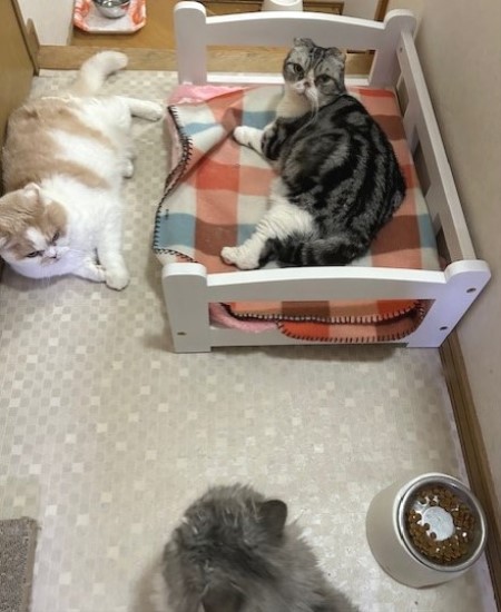 thumbnail_IMG_6930 (1)