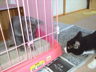 2007_09300073