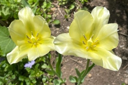 thumbnail_IMG_0508