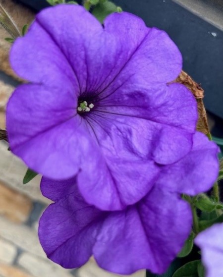 thumbnail_IMG_7150 (1)