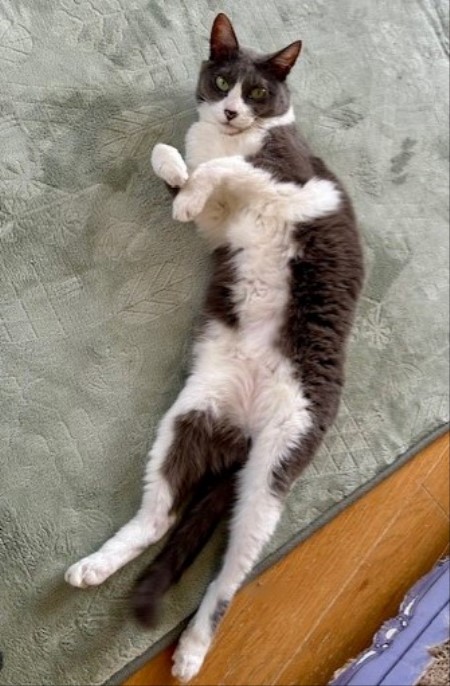 thumbnail_IMG_2839 (1)