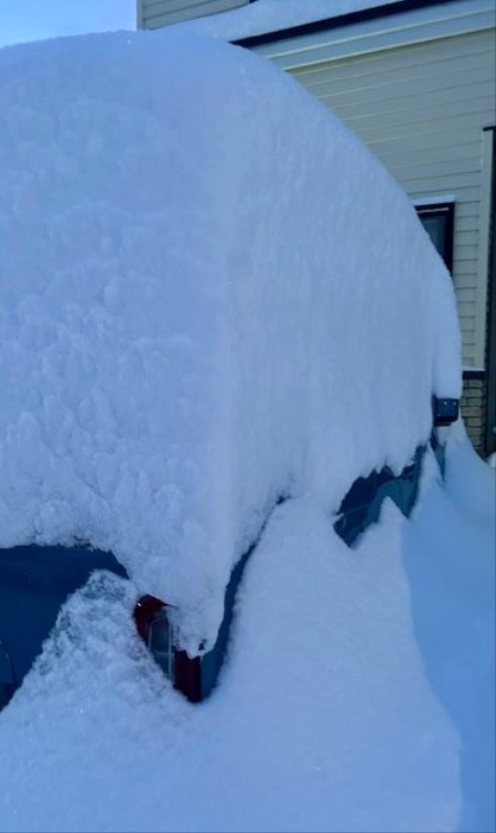 6d038b6e-d4e2-46de-a64d-2d85694f0f2a