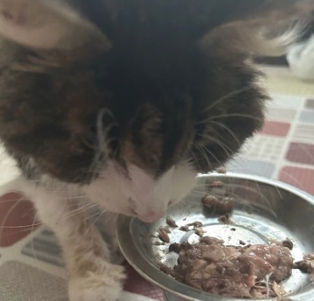 thumbnail_IMG_7917 (1)