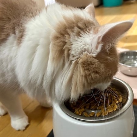 thumbnail_IMG_5236 (2)