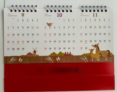 thumbnail_IMG_5729 (1)