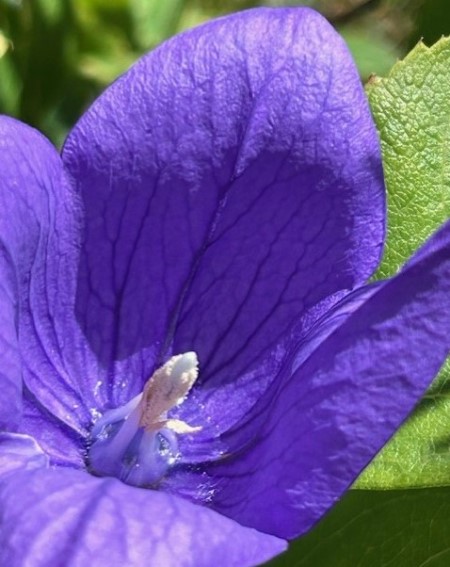 thumbnail_IMG_5589 (2)