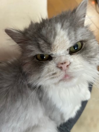 thumbnail_IMG_1768 (1)