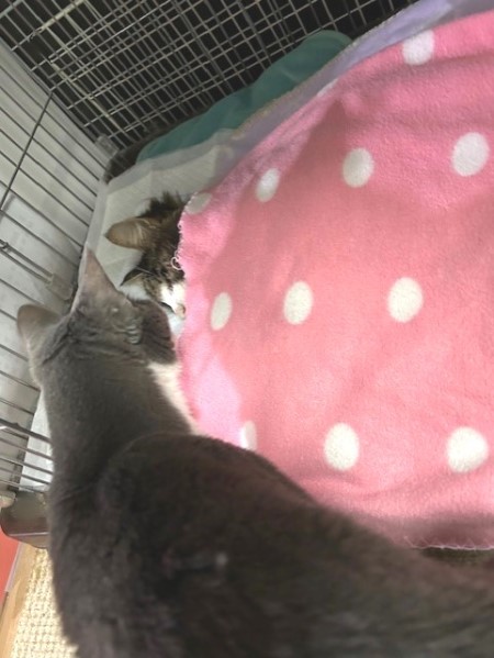 thumbnail_IMG_1315 (1)