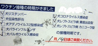 「猫だらけ」