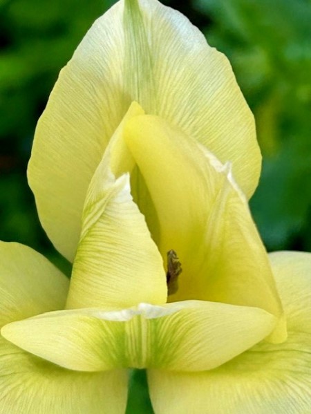 thumbnail_IMG_6134 (1)