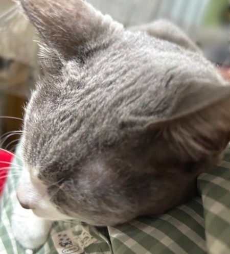 thumbnail_IMG_7094 (3)