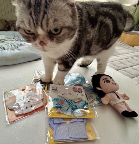 こひろみくんの服を100円ショップで探してみました。 : 猫だらけ
