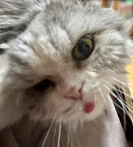 5a508304-1a15-4171-a083-31d1dfc94ae2