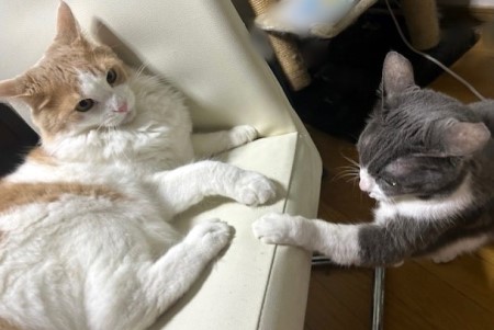 thumbnail_IMG_3763 (2)