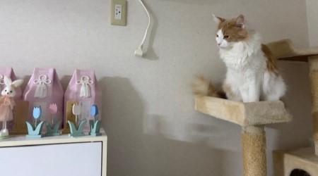 6ff57de5-bd40-4157-b7cd-7ed7e3e0fc5f