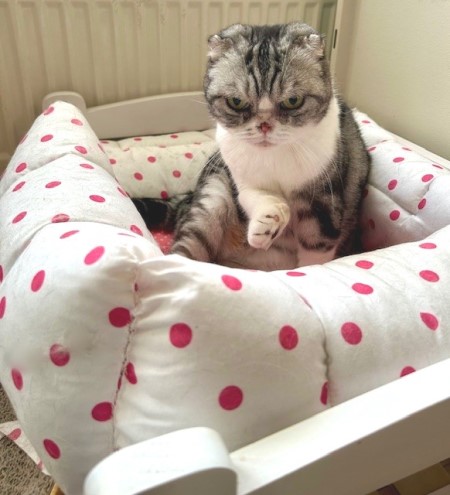 thumbnail_IMG_3060 (1)