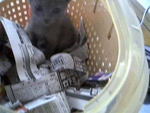 photo84