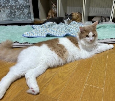 thumbnail_IMG_5314 (1)