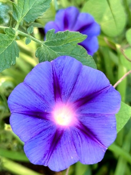 thumbnail_IMG_9708 (1)