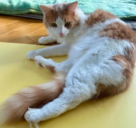 thumbnail_IMG_0400 (3)