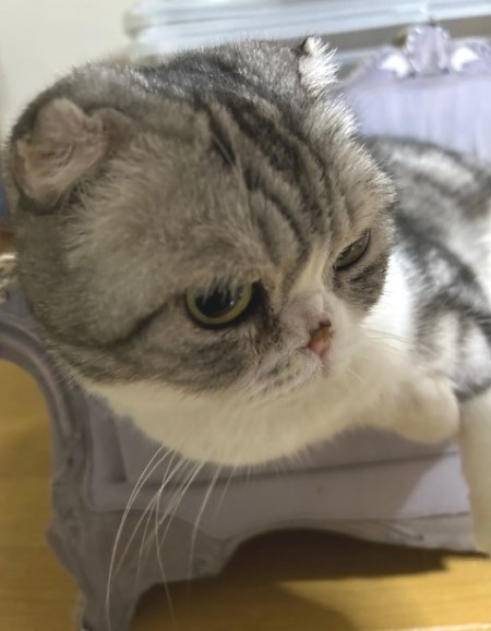 thumbnail_IMG_5075 (1)