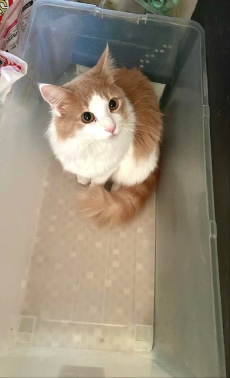 thumbnail_IMG_8461 (2)