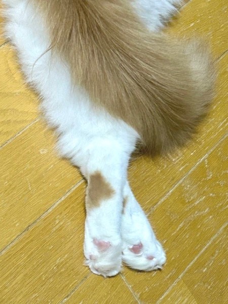 thumbnail_IMG_4655 (1)