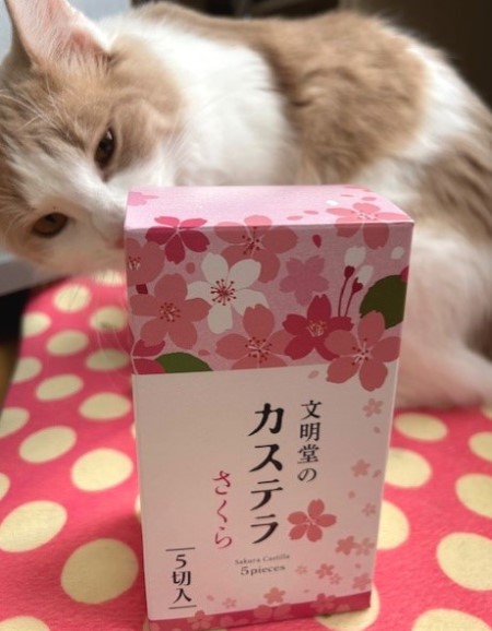thumbnail_IMG_6993 (1)