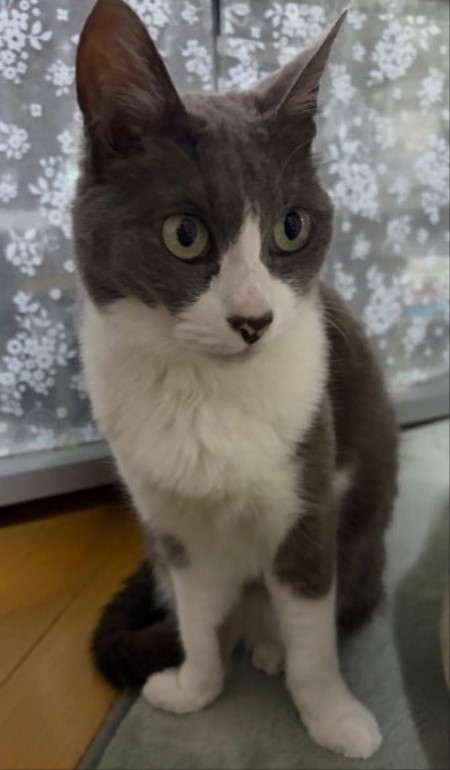由仁町の花のまつうらさんへ行って来ました。 : 猫だらけ Powered by