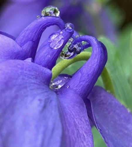 thumbnail_IMG_0054 (1)