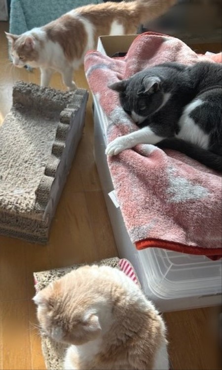 thumbnail_IMG_7583 (1)