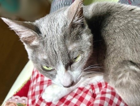 f837a20c-26b8-458f-aca3-fb06655ace37